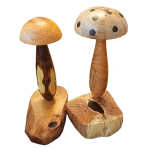 Grzyby